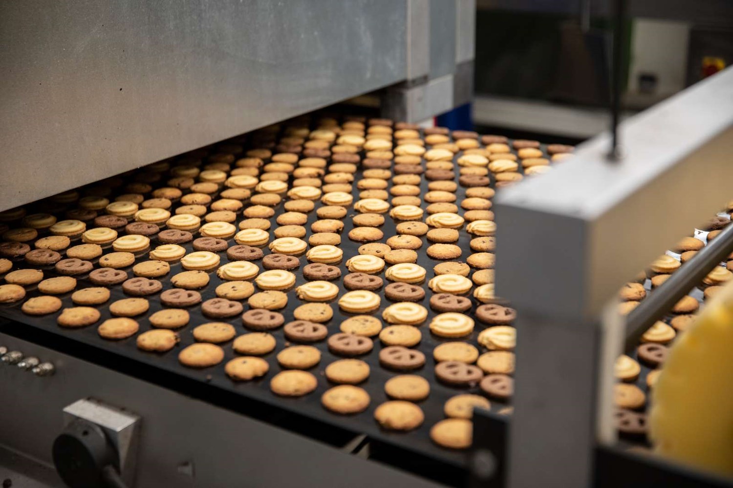 Kelsen i Nr. Snede producerer de verdensberømte 'Danish Butter Cookies', der eksporteres til både USA og Kina i store mængder.